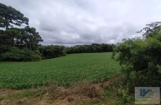 Imagem Terreno para Venda em São José dos Pinhais, Contenda, 1 dormitório