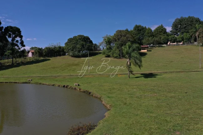 Imagem Chácara em Campo Largo com lago a venda