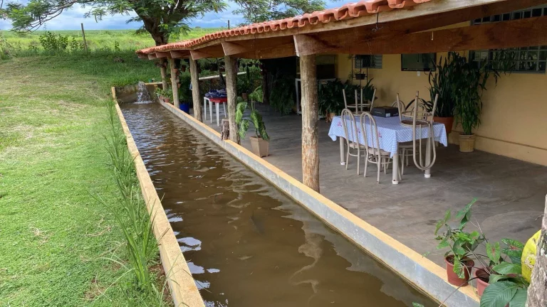Imagem Fazenda à Venda em Santa Cruz de Goiás – Dupla Aptidão!