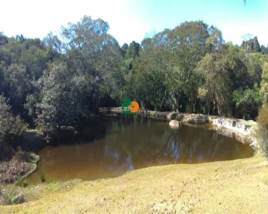 Imagem Terreno para Venda em São Roque, Sorocamirim (canguera)