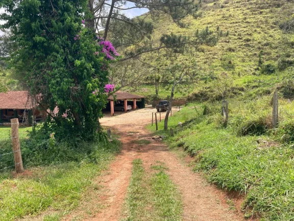 Imagem FAZENDA COM 87 HECTARES - GUARATINGUETÁ - SP