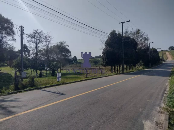 Imagem ÁREA EM BALSA NOVA COM 13.530,10M²