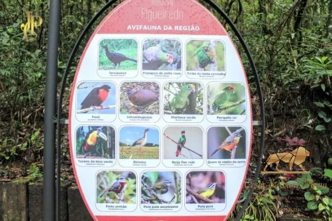 Imagem Terrenos Reserva Figueiredo apatir de R$850.000,00