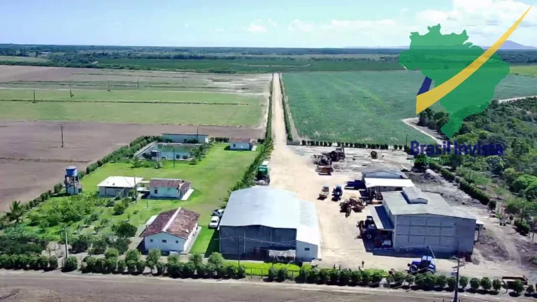 Imagem FAZENDA COM EXCELENTE PRODUÇÃO PRÓXIMA A PORTO SEGURO