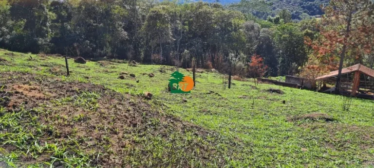 Imagem Chácara para Venda em São Roque, Centro (canguera), 3 dormitórios, 2 suítes, 1 banheiro