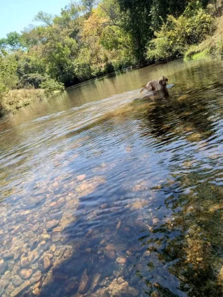 Imagem FAZENDA EM EM ABADIÂNIA DE GOIÁS