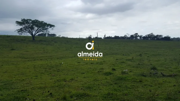 Imagem TERRENO NA BR392