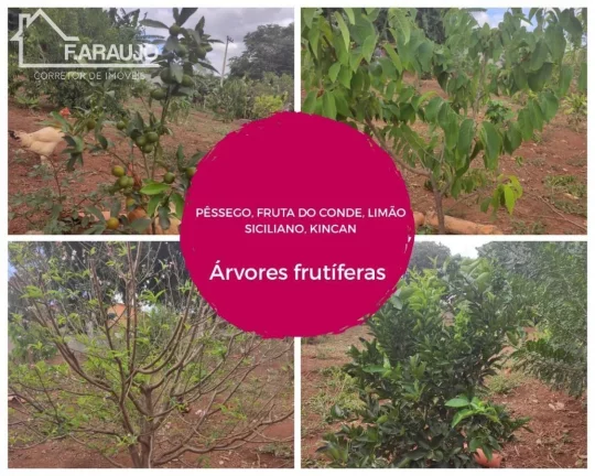 Imagem Chácara à venda em Salto de Pirapora com 5000m² 6 quartos, 35 vagas