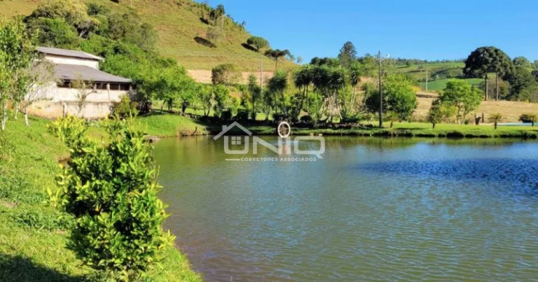 Imagem Chácara - Nsa Sra Candeias - 12 kms do Trevo de Pato Branco