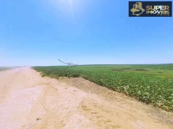 Imagem Fazenda de Excelência no RS 2.100 hectares Cachoeira do Sul