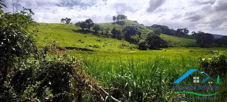 Imagem Oportunidade Imperdível: Terreno com 21,21ha em Localização Privilegiada!