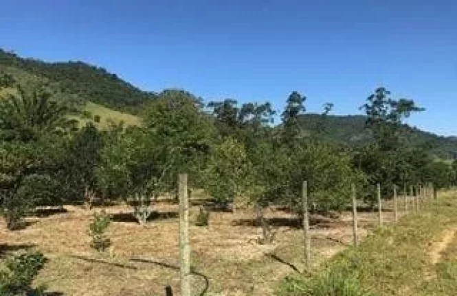 Imagem SITIO RURAL em GUARAPARI - ES, COMUNIDADE URBANA DE JABOTI