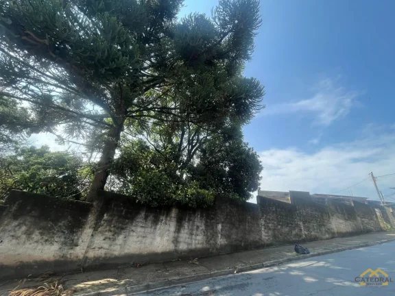 Imagem Terreno de rua todo murado no Bairro Santa Gertrudes - DOCUMENTAÇÃO OK