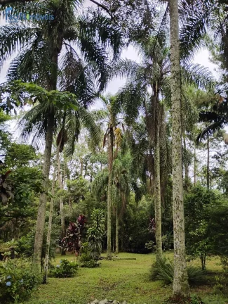 Imagem CHÁCARA À VENDA NO BAIRRO JARDIM MAR LUNE - SÃO PAULO - SP