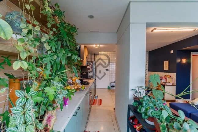 Imagem Apartamento pinheiros pronto para morar