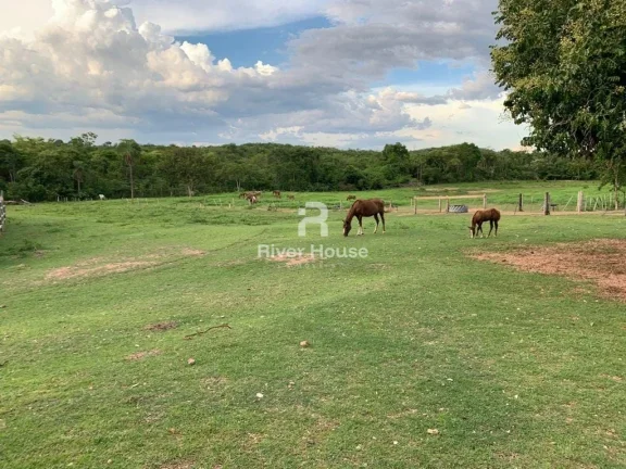 Imagem Fazenda 375 Hectares à venda, para Pecuaria localizada em Municipio de Nossa Senhora da Guia, MT