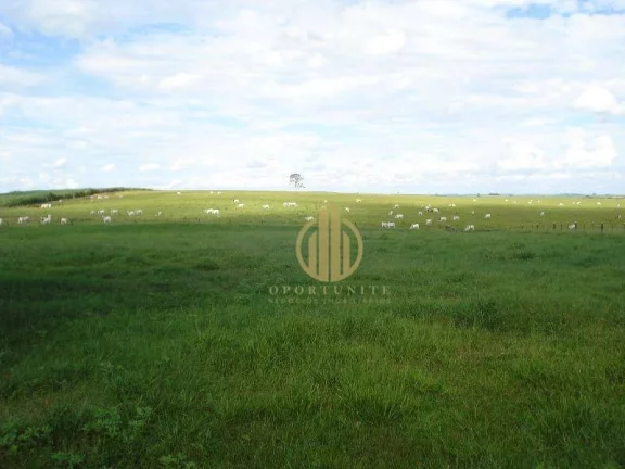 Imagem Fazenda à venda, 49464800 m² por R$ 511.000.000,00 - Centro - Pompéia/SP