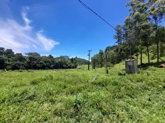 Imagem Fazenda à venda em Barbacena, Correia de Almeida, com 4 quartos, 53ha