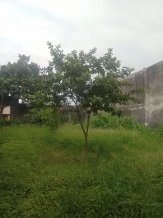 Imagem Terreno para alugar, 350 m² por R$ 2.000,00/mês - Vila do Americano - Ferraz de Vasconcelos/SP