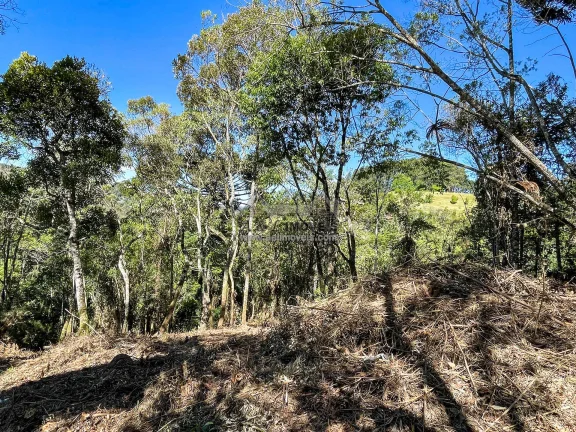 Imagem Terreno à venda em Campos do Jordão - Excelente opção para investimento