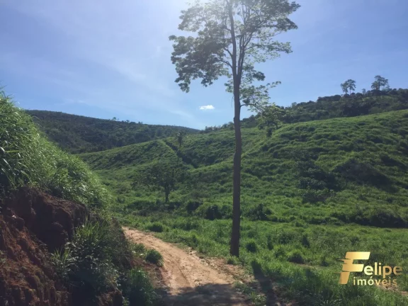 Imagem FAZENDA PRÓXIMO A COLATINA / REGIÃO NOROESTE