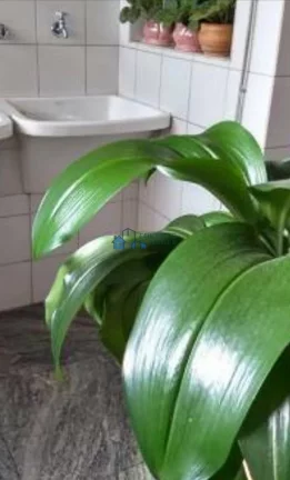 Imagem EXCELENTE APARTAMENTO TODO REVESTIDO, 04 QUARTOS NO BARRO PRETO!