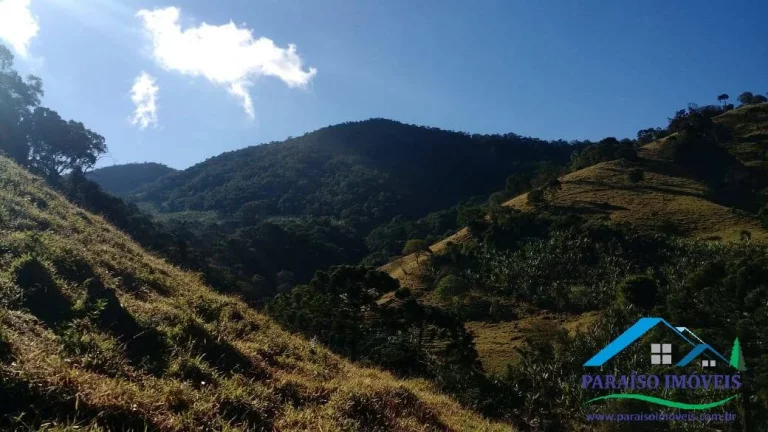 Imagem Área de Mata Compensação Ambiental ou Crédito de Carbono S. da Mantiqueira!