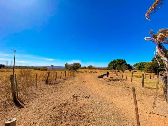 Imagem Fazenda à Venda, 500.000 m² em Zona Rural - Luziânia