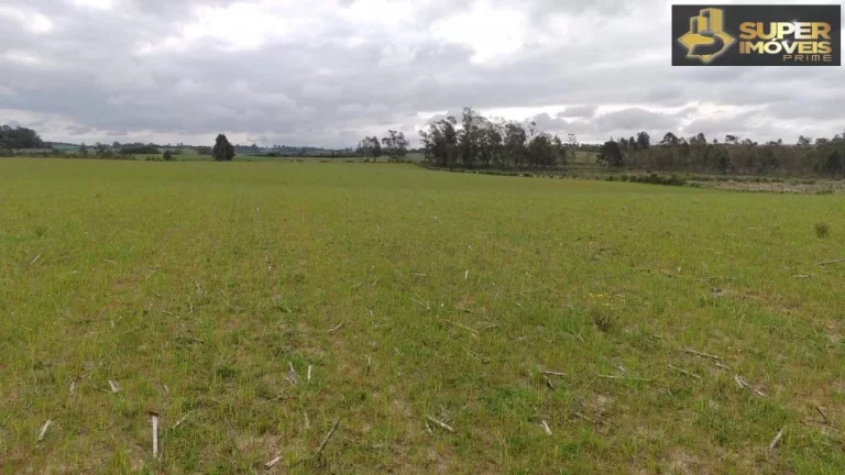 Imagem Fazenda Espetacular no Capão do Leão-RS próximo de Pelotas