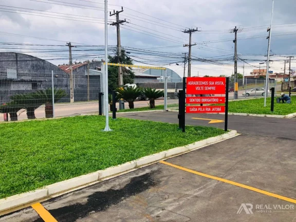 Imagem Comercial, Eucaliptos - Fazenda Rio Grande