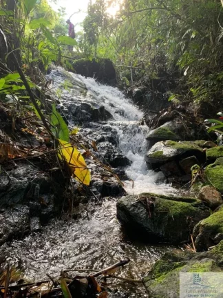 Imagem Rural - Chácara, para Venda em Rio dos Cedros/SC