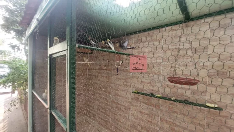 Imagem CASA DE 2ª LOCAÇÃO MAIS BONITA, CUIDADA E CONFORTÁVEL DE JARDIM ATLÂNTICO LESTE!