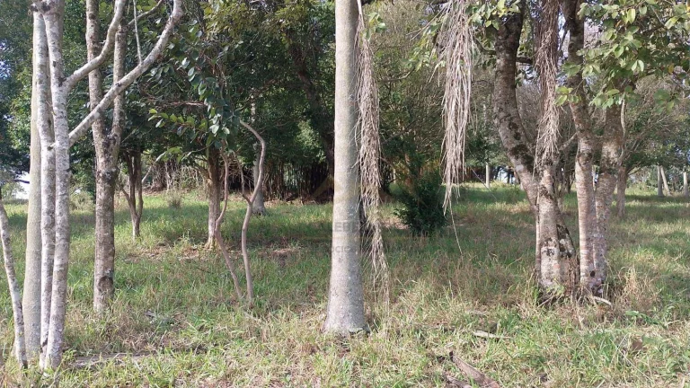Imagem Sítio 3 Alqueires em Tatuí Bairro Congonhal de Cima por R$ 630.000,00 com escritura