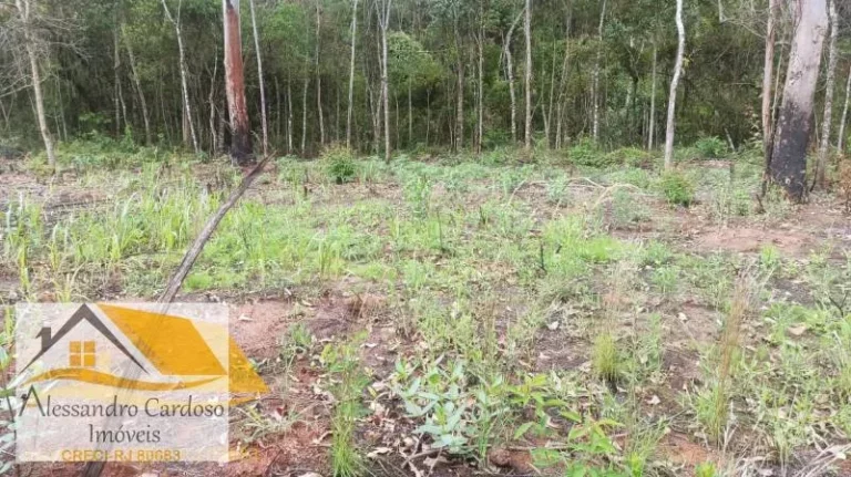 Vendo terreno rural com 18 mil mts² em Campo do Coelho