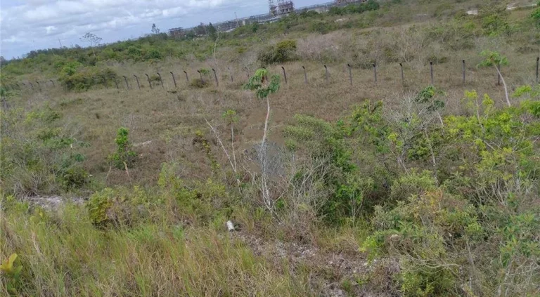 Imagem Terreno à Venda, 17.000 m² em Centro - Camaçari
