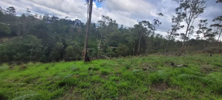 Imagem Terreno à venda, 2324 m² por R$ 140.000,00 - Clube dos Oficiais - Suzano/SP