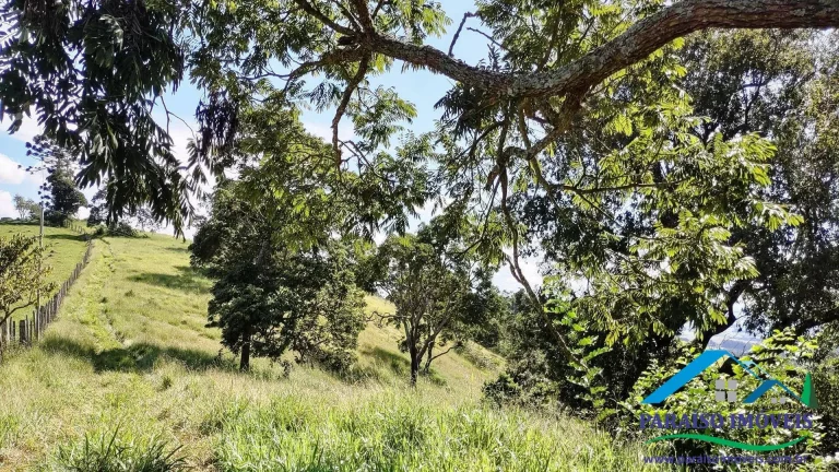 Imagem Paraíso Particular: 14,32 ha, com Vista Panorâmica e Natureza Preservada!
