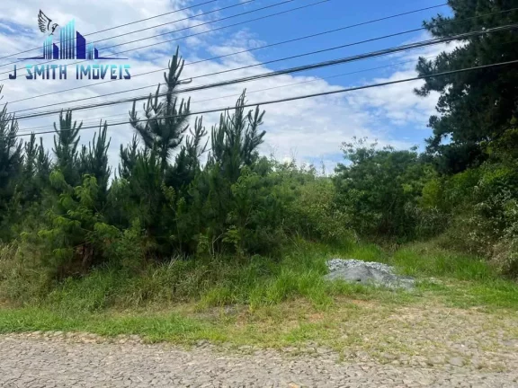 Imagem ÁREA 4.973 m² p/ incorporar (condomínio) dentro de Residencial