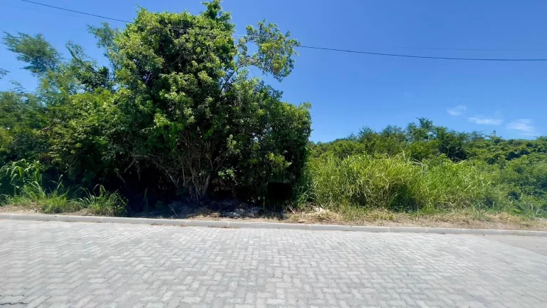 Imagem Terreno à venda, 450 m² por R$ 250.000,00 - Caravelas - Armação dos Búzios/RJ