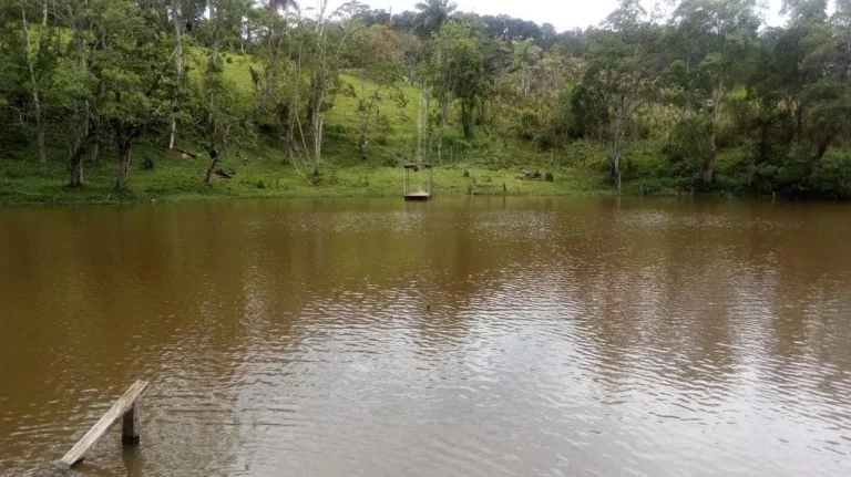 Imagem Terreno no Jardim Silveira - Marsilac
