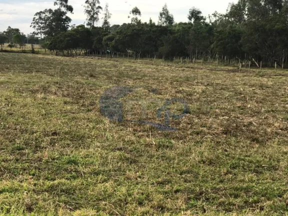 Imagem Excelente área com 120.000 metros ou 12ha em Torres