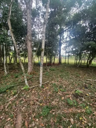 Imagem Terreno à venda no bairro Oliveira - Tijucas/SC