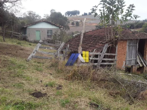 Imagem Fazenda à Venda, 246 m² em Algodão - Pouso Alegre