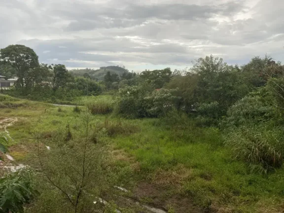 Imagem Lote à Venda com 3.000m2 -Excelente Localização na Colônia Rodrigo Silva