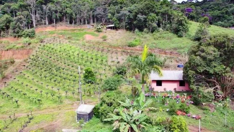 Imagem VENDO ESTE LINDO SITIO EM NOVA FRIBURGO.