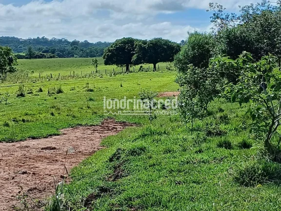 Imagem Sítio à venda, Flamenguinho, Ibaiti, PR