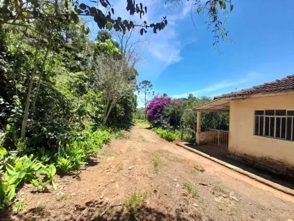 Imagem Fazenda à venda em Barbacena, Correia de Almeida, com 4 quartos, 53ha