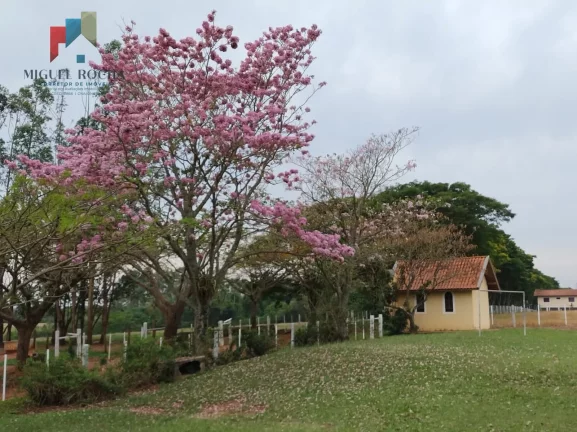 Imagem Fazenda á venda em Avaré SP