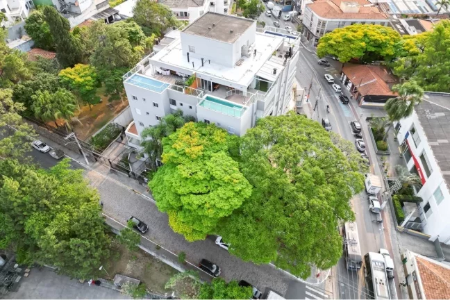 Imagem Apartamento com 3 Quartos à Venda, 270 m² em Jardim Floresta - São Paulo