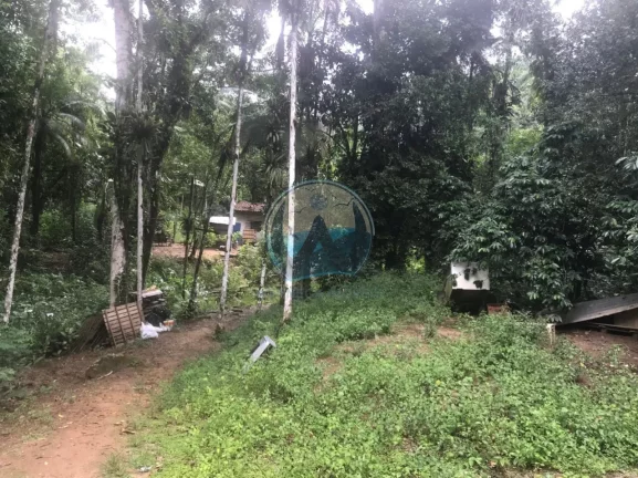Imagem Terreno à venda em Ubatuba-SP, Horto Figueira: 200m² de área promissora!